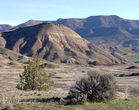Painted Hills Overlook View of Carroll Rim (USGS)