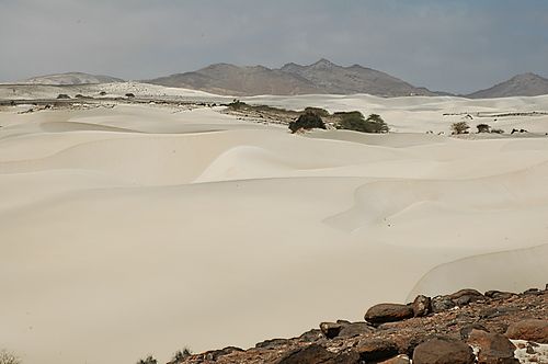 Boa Vista -désert de Viana - Toons -Panoramio
