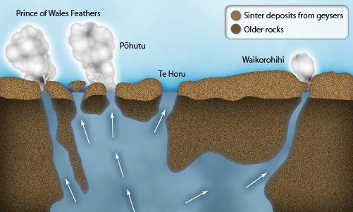 Whakarewarewa geysers - Te Ara GNS