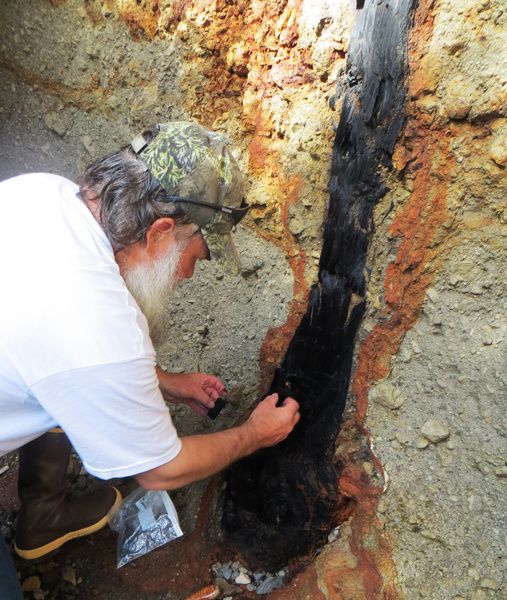 Geologist Jim Baichtal samples the charcoal tree found embe