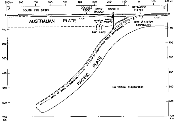 subduction sous dorsales Colville et Kermadec - seafriends