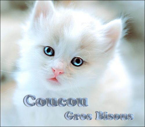coucou-gros-bisous.jpg