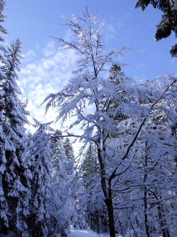 ski fond 09