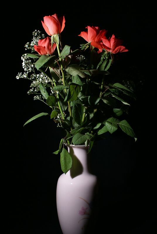 blog-rose1.jpg