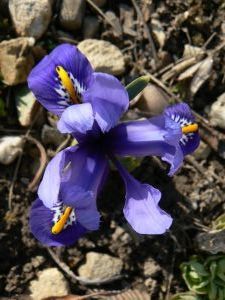 harmony-04-03-13-02.jpg