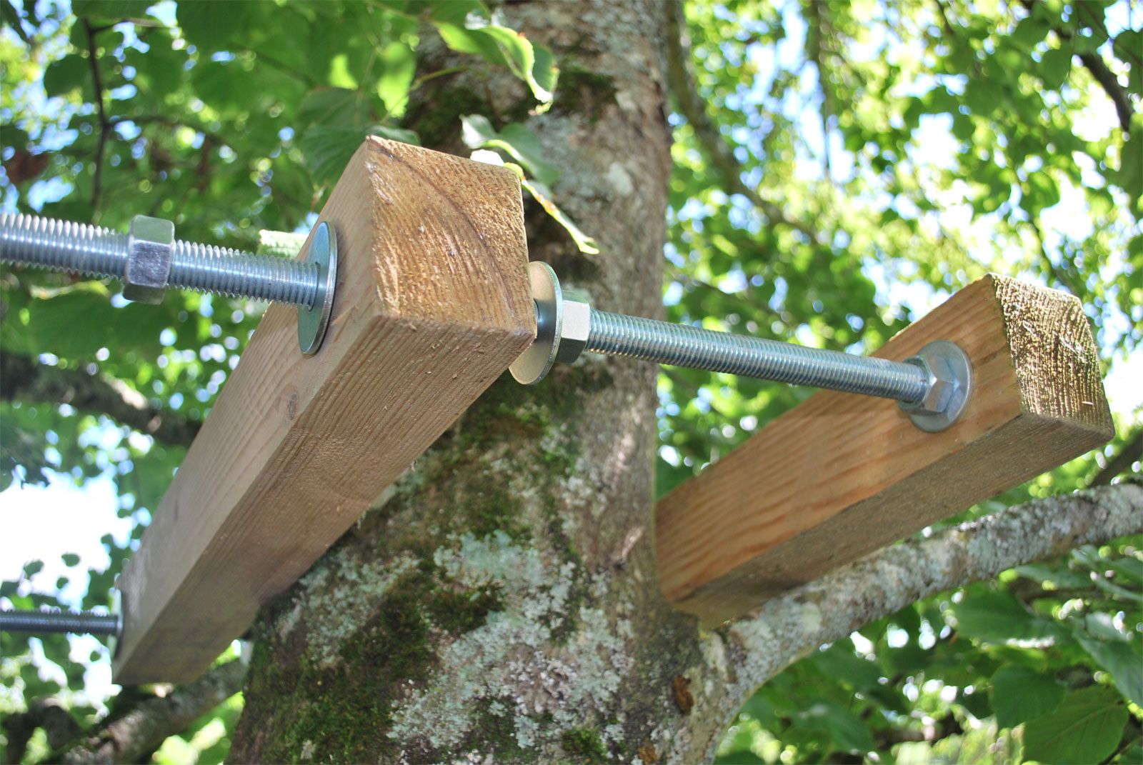 quel arbre pour une cabane