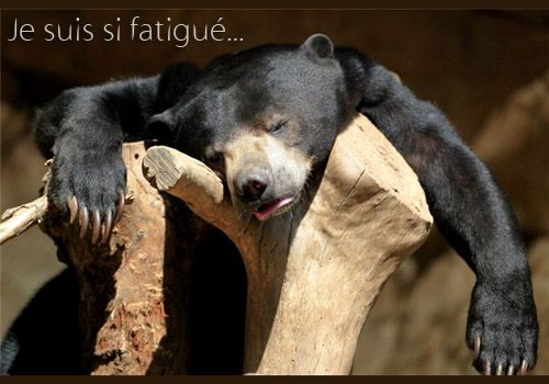 je-suis-fatigue.jpg