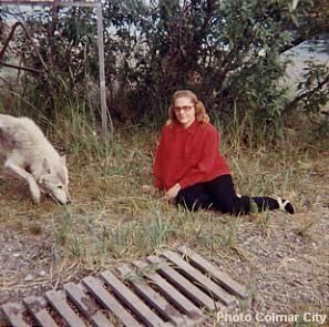 rencontre avec un loup