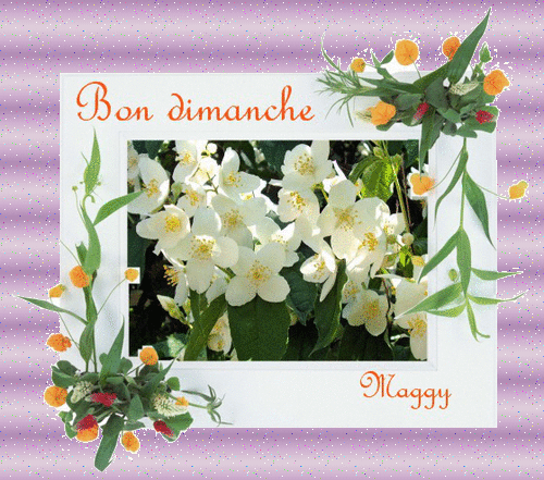 bon dimanche