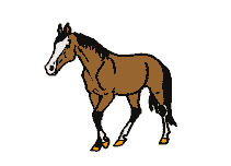 cheval021