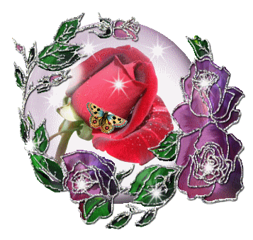 rose et papillon