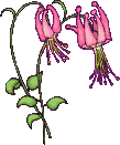 fleur 031