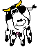 vache020