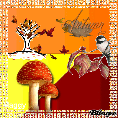 bel automne