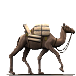 GifAnimeDromadaire0002.gif