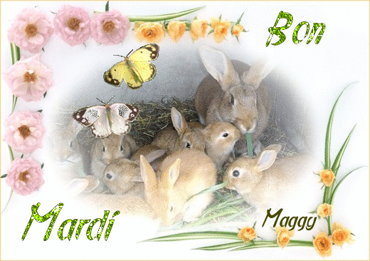 bon-mardi.gif