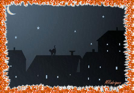 chat-la-nuit.gif