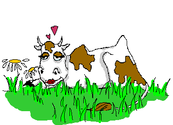 vache_8.gif