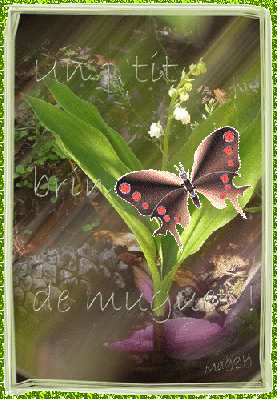 oie_overlay-brin-de-muguet-et-papillon.gif