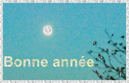 oie_twinkles-lune-bonne-annee.gif