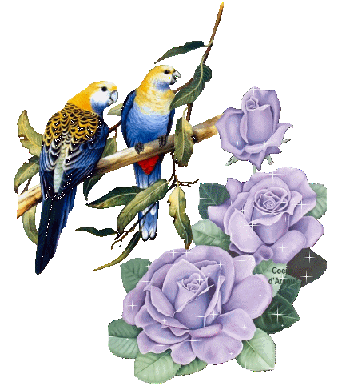 oiseau et fleur mauve