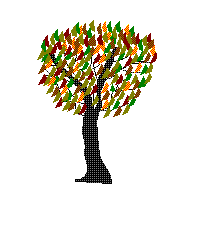 arbre automne