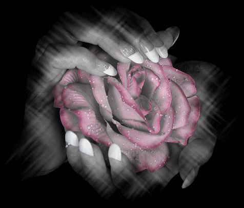 fleur-anime-pour Kaboul