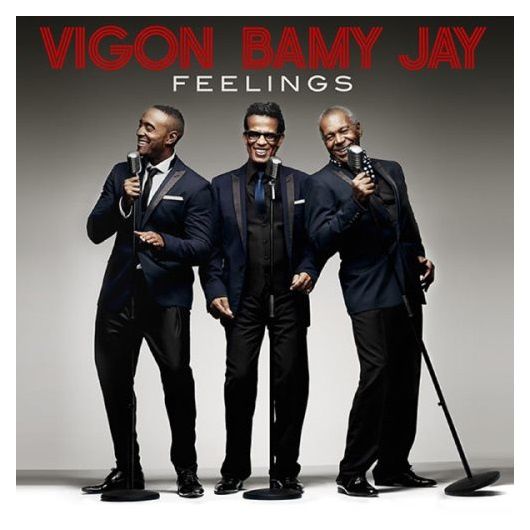 Vigon Bamy Jay - 2013 - Feelings - Cover
