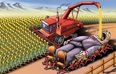 biocombustibles-sevleet-yalaz.jpg