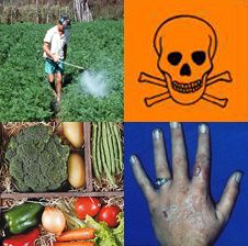 agrotoxicos dentro1