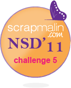 NSD11-orange-challenge5.png
