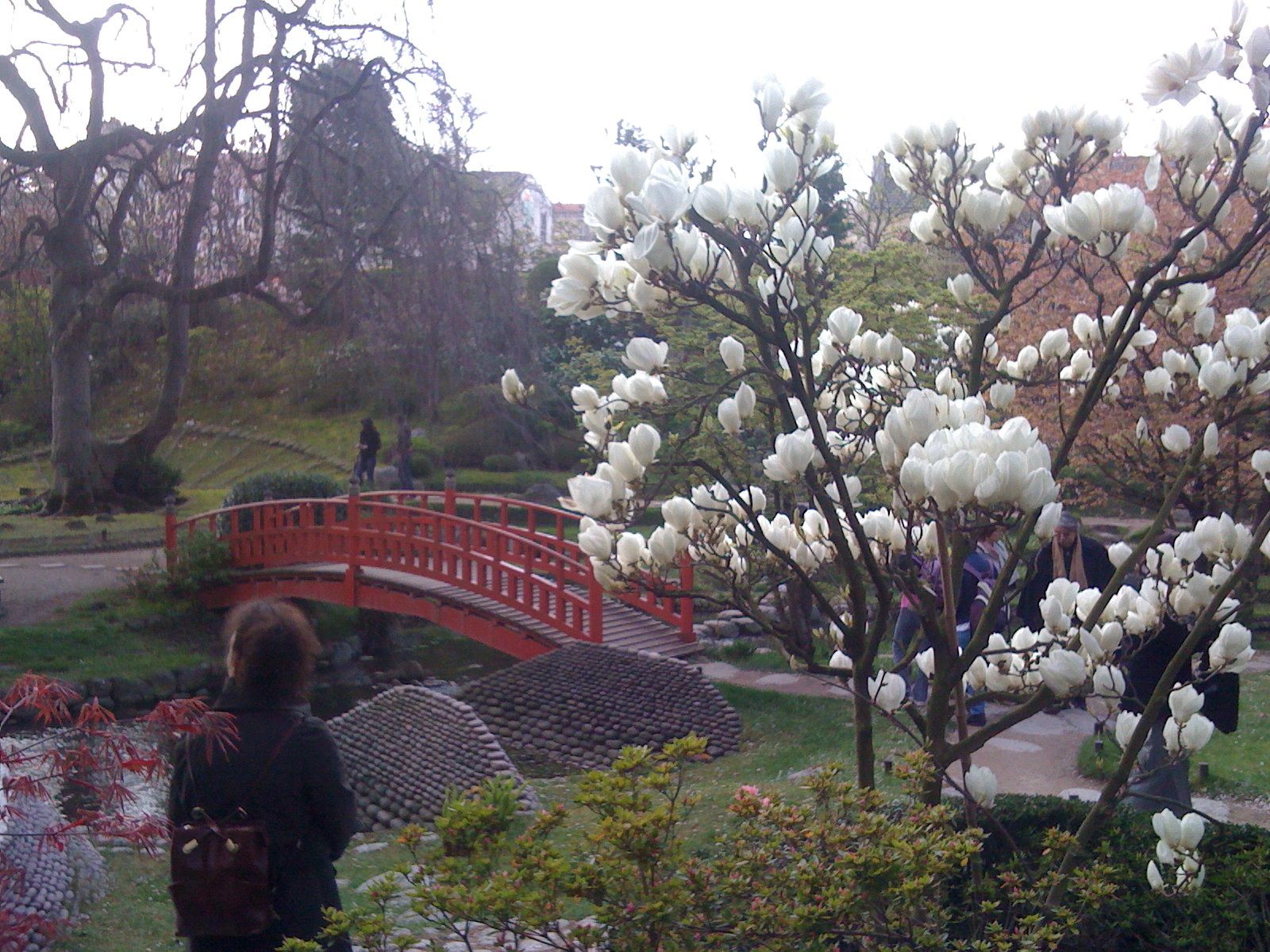 Jardin japonais Albert Kahn