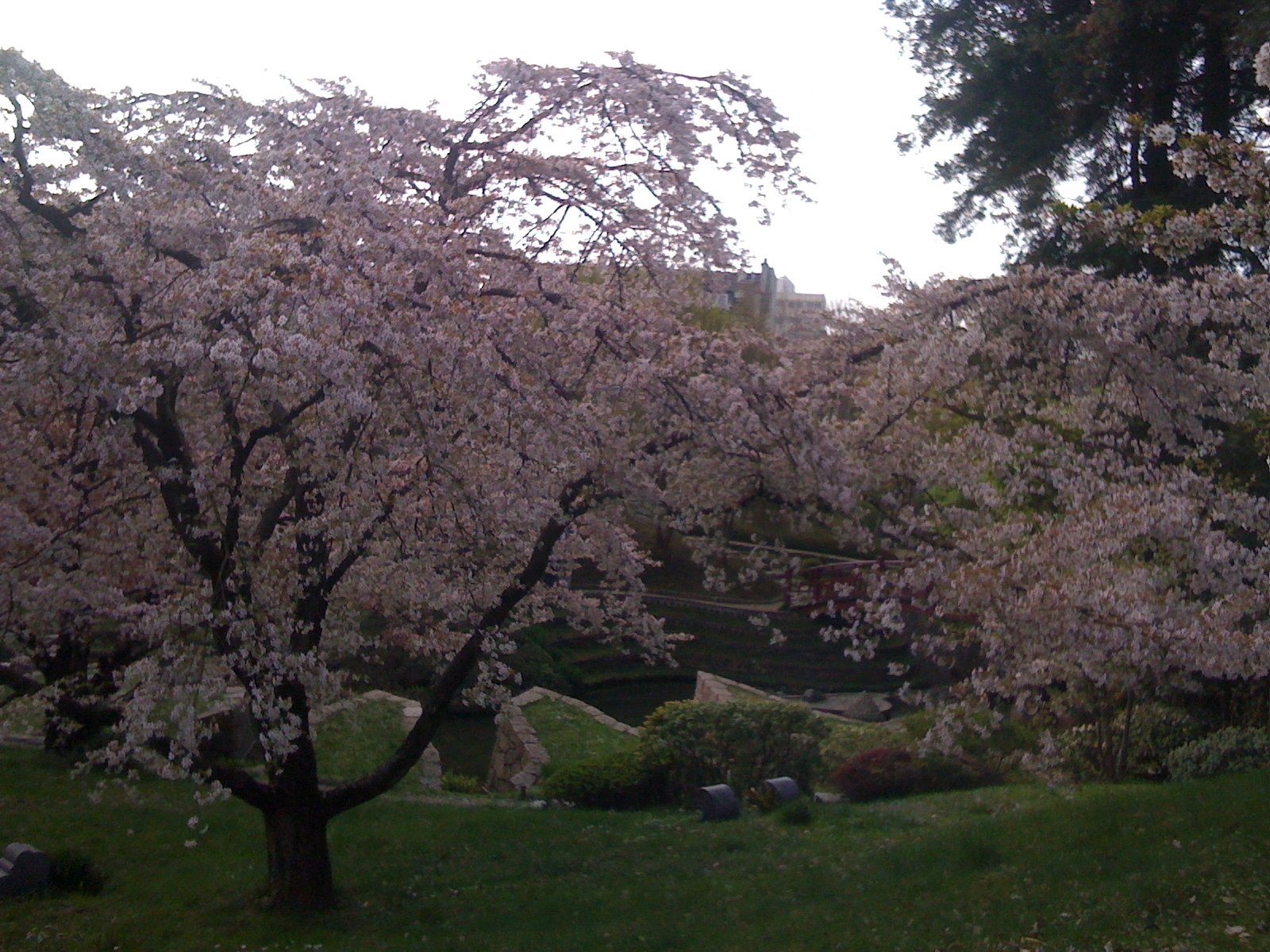 Jardin japonais Albert Kahn