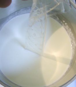 PanacottaChocBlanc1