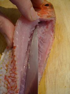 FileterPoissonRond14