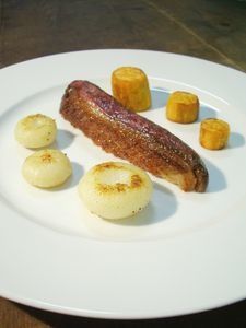 MagretNavetPatateDouce1