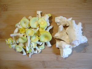 FoieLapinMauryFricass_ePleurotes1