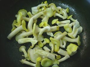 FoieLapinMauryFricass_ePleurotes6