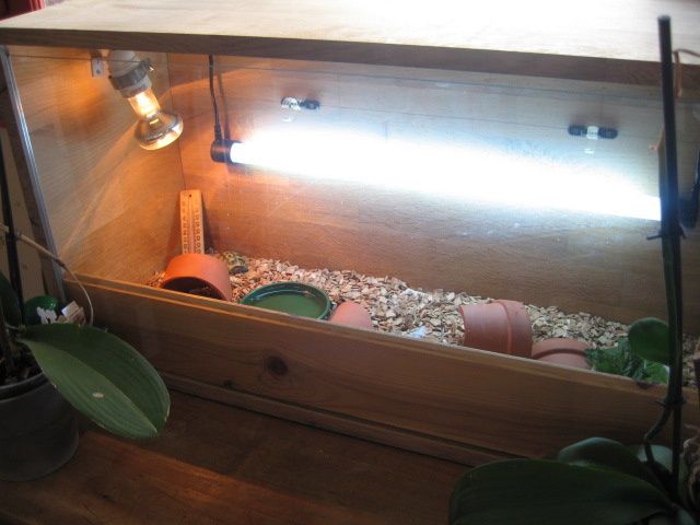 construction d'un vivarium ou terrarium