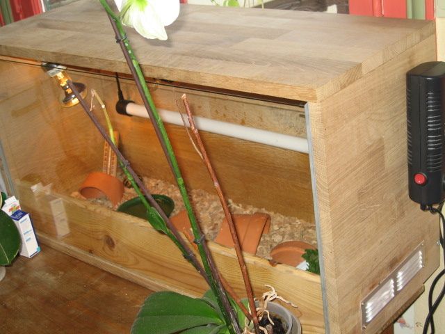 construction d'un vivarium ou terrarium