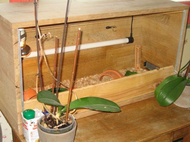 construction d'un vivarium ou terrarium