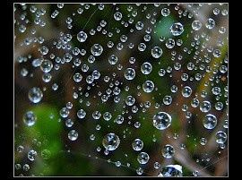 goutte-pluie.jpg