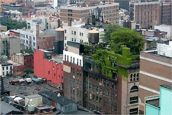 http://idata.over-blog.com/3/07/70/49/ARCHI/Toit-Vegetal/ToitVert2.jpg