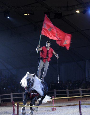 photo salon du cheval el jadida 2012-photo spectac-copie-2