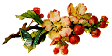 fleurs_193.gif