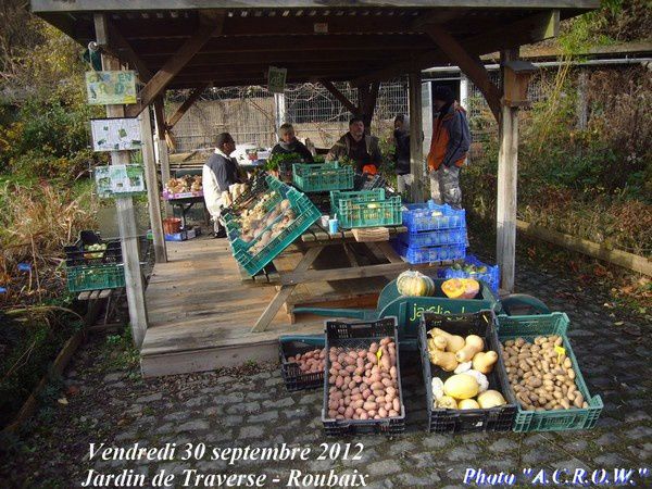 2012-11-30 Rx Jardin-de-Traverse Marche-bio (115)