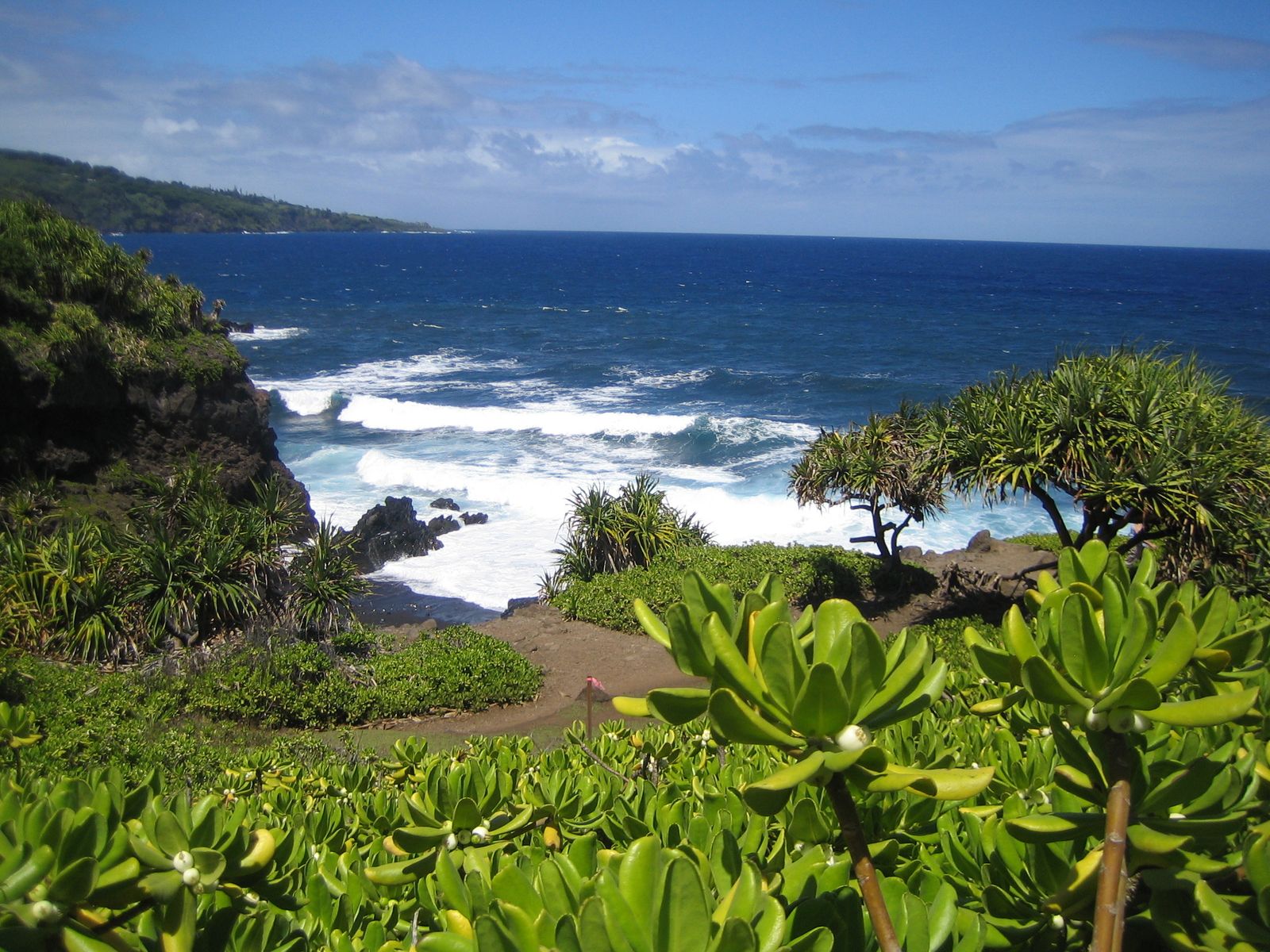 un maui