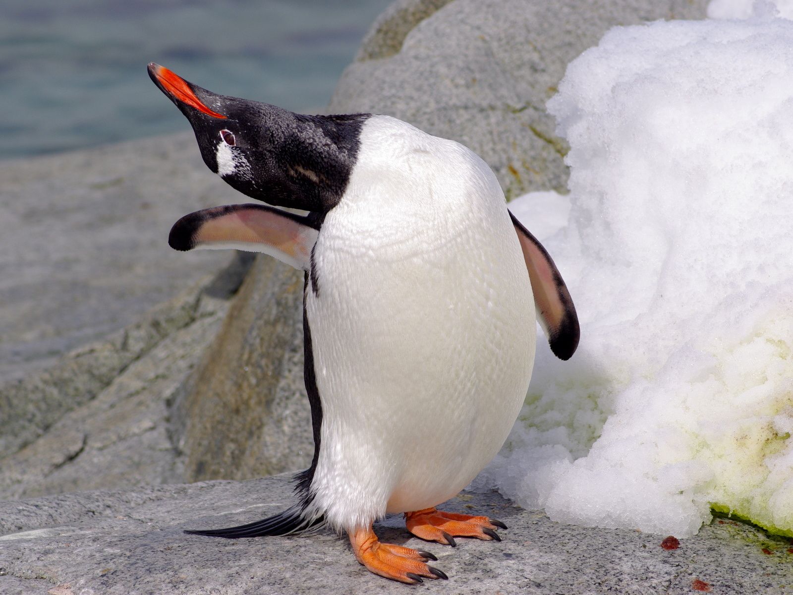 site rencontre alaska