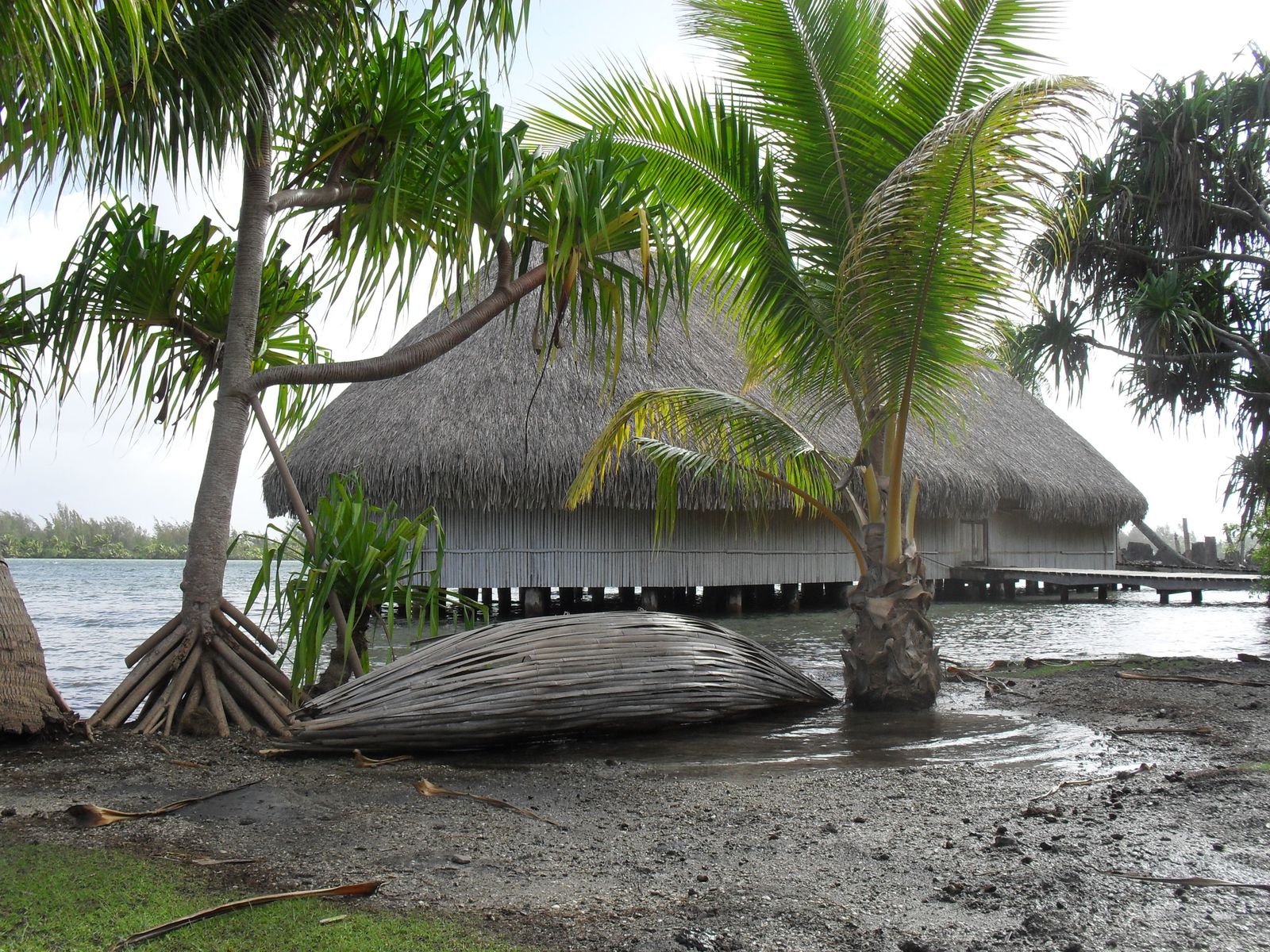 île de Huahine. FENUA adventure