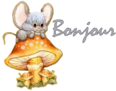 souris4